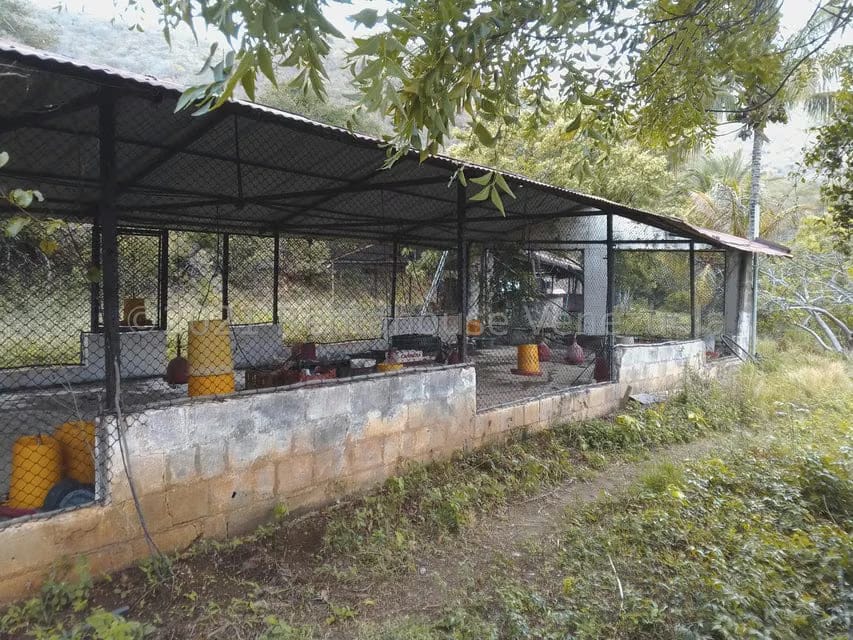 Terreno (Finca) en Venta en Tacarigua, Nueva Esparta - 6
