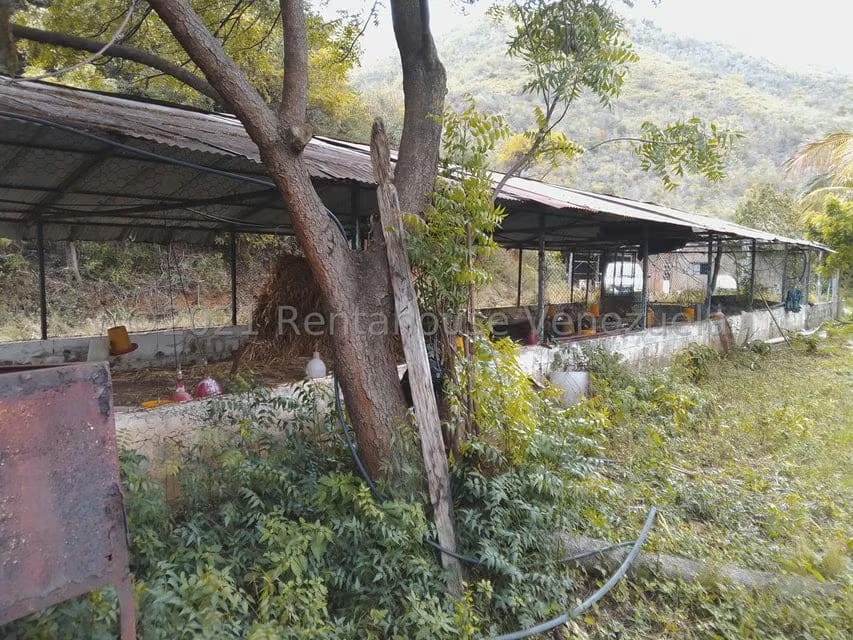 Terreno (Finca) en Venta en Tacarigua, Nueva Esparta - 8