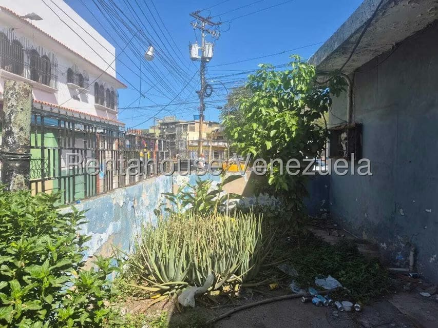 Comercial (Local Comercial) en Venta en Jose A Paez, Vargas - 18