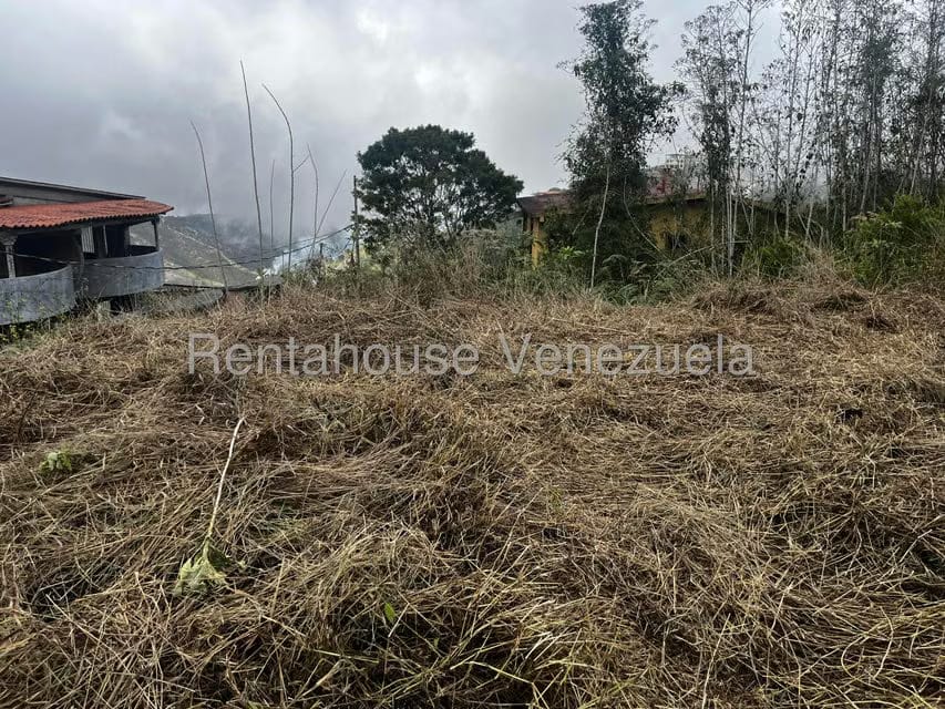 Terreno (Residencial) en Venta en El Junquito, Distrito Metropolitano - 14