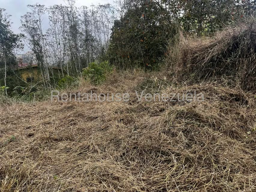 Terreno (Residencial) en Venta en El Junquito, Distrito Metropolitano - 15