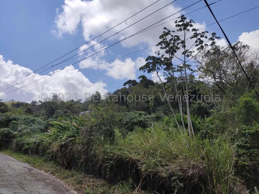 Terreno (Residencial) en Venta en Oripoto, Distrito Metropolitano - 3