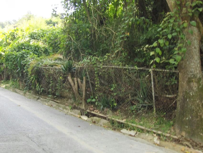 Terreno (Residencial) en Venta en Oripoto, Distrito Metropolitano - 5