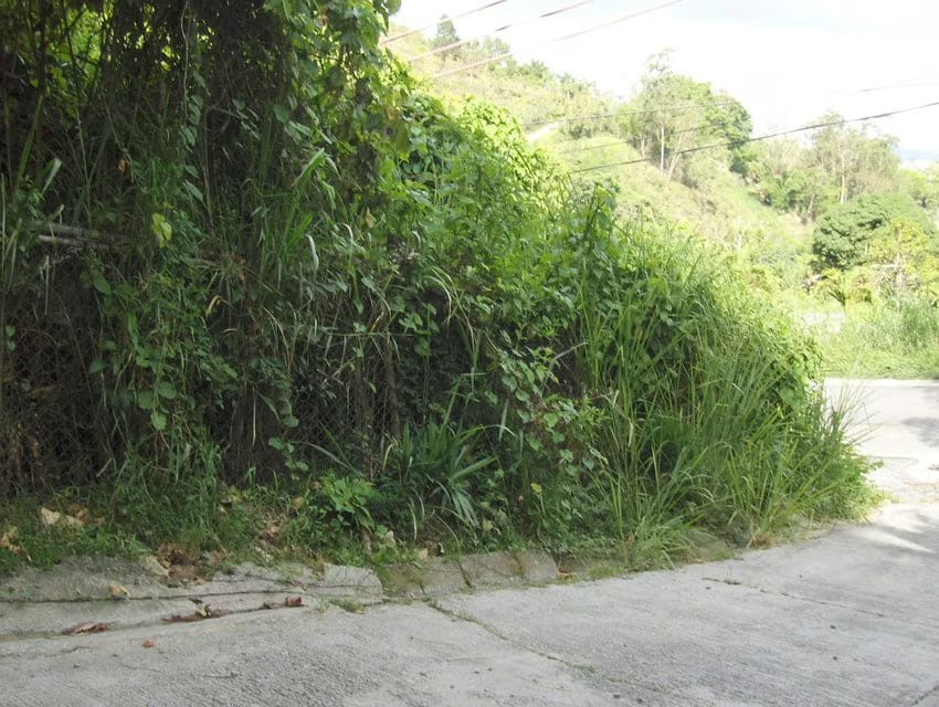 Terreno (Residencial) en Venta en Oripoto, Distrito Metropolitano - 6