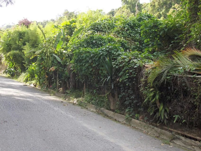 Terreno (Residencial) en Venta en Oripoto, Distrito Metropolitano - 7