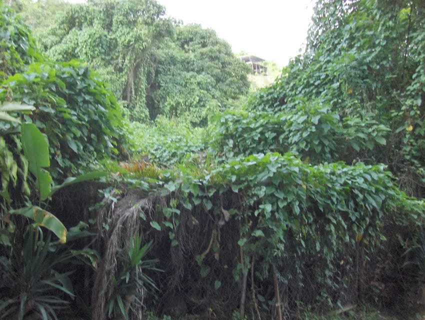 Terreno (Residencial) en Venta en Oripoto, Distrito Metropolitano - 8