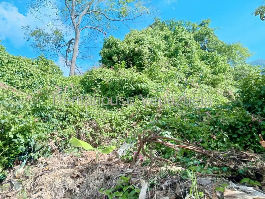 Terreno (Comercial) en Venta en Sector Centro Trujillo, Trujillo - 2
