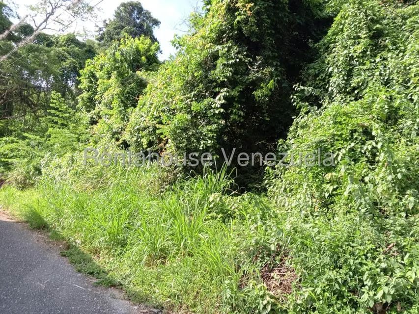 Terreno (Comercial) en Venta en Sector Centro Trujillo, Trujillo - 8