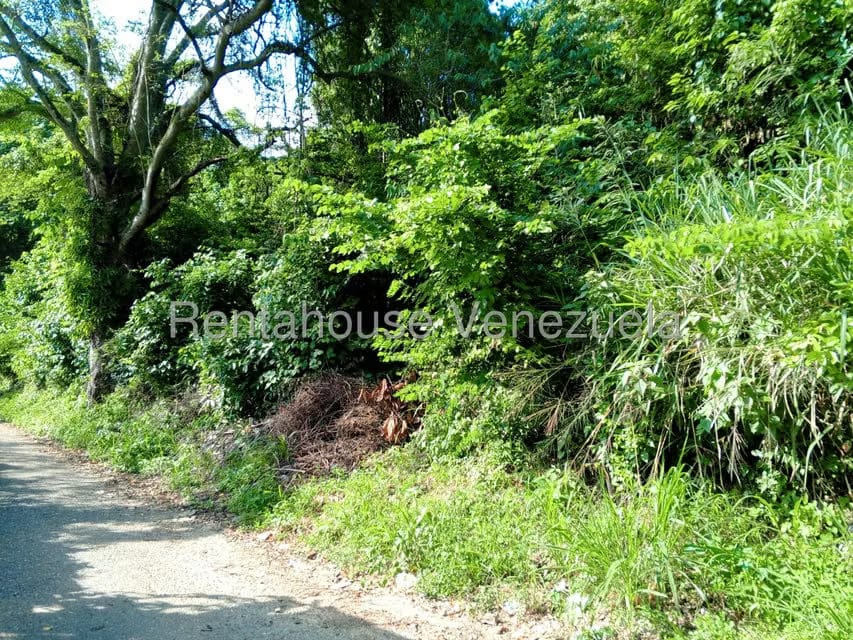 Terreno (Comercial) en Venta en Sector Centro Trujillo, Trujillo - 9