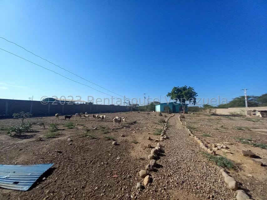 Casa (1 Nivel) en Venta en Centro, Falcon - 12