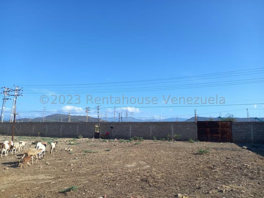 Casa (1 Nivel) en Venta en Centro, Falcon - 8