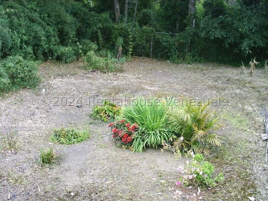 Terreno (Residencial) en Venta en El Junko Country Club, Vargas - 3