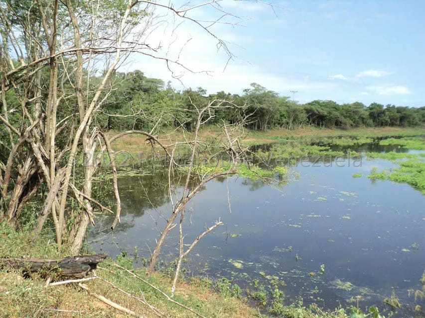 Terreno (Finca) en Venta en La Playa, Anzoategui - 6