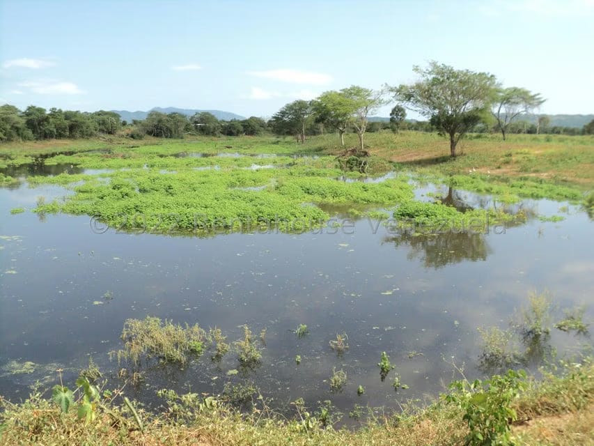 Terreno (Finca) en Venta en La Playa, Anzoategui - 7