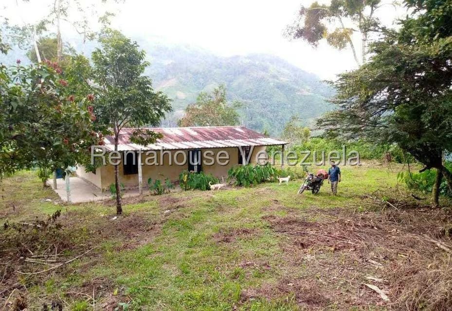 Terreno (Finca) en Venta en Virgen de La Paz, Trujillo - 2