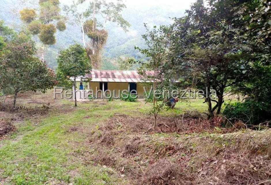 Terreno (Finca) en Venta en Virgen de La Paz, Trujillo - 3