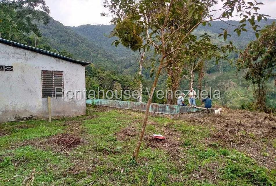 Terreno (Finca) en Venta en Virgen de La Paz, Trujillo - 4