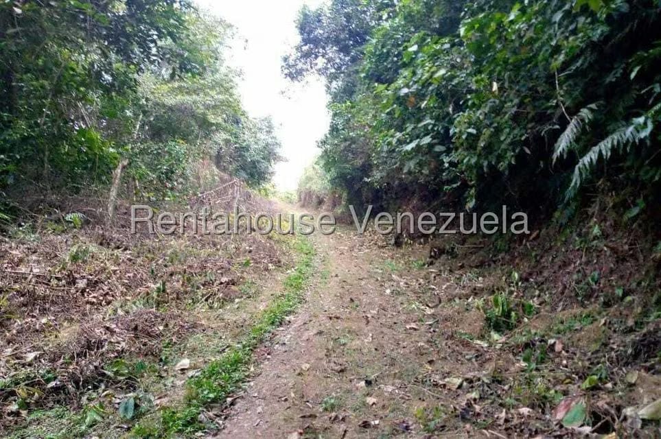 Terreno (Finca) en Venta en Virgen de La Paz, Trujillo - 5