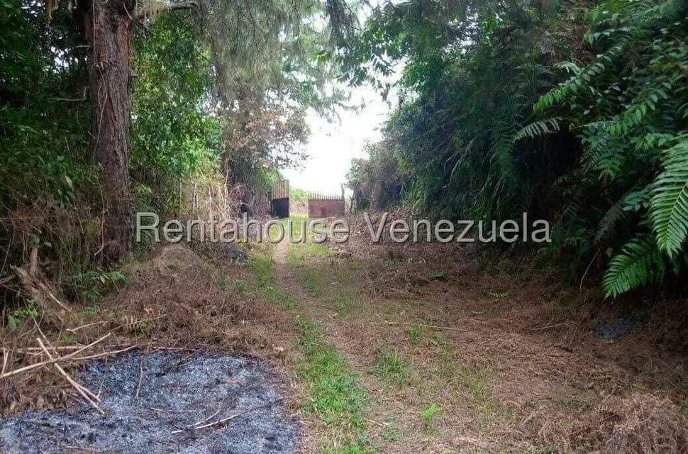 Terreno (Finca) en Venta en Virgen de La Paz, Trujillo - 7
