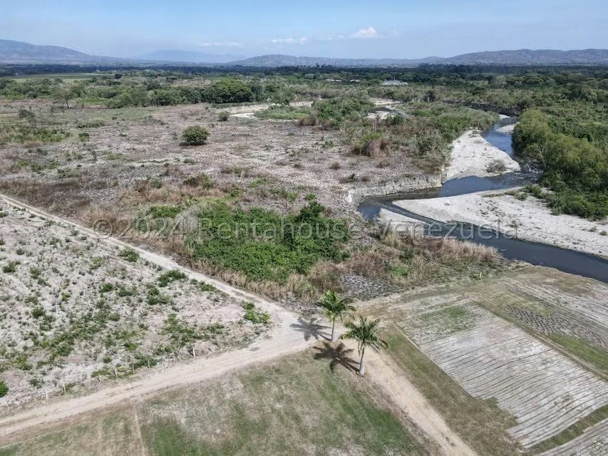 Terreno (Finca) en Venta en Municipio Peña, Yaracuy - 15