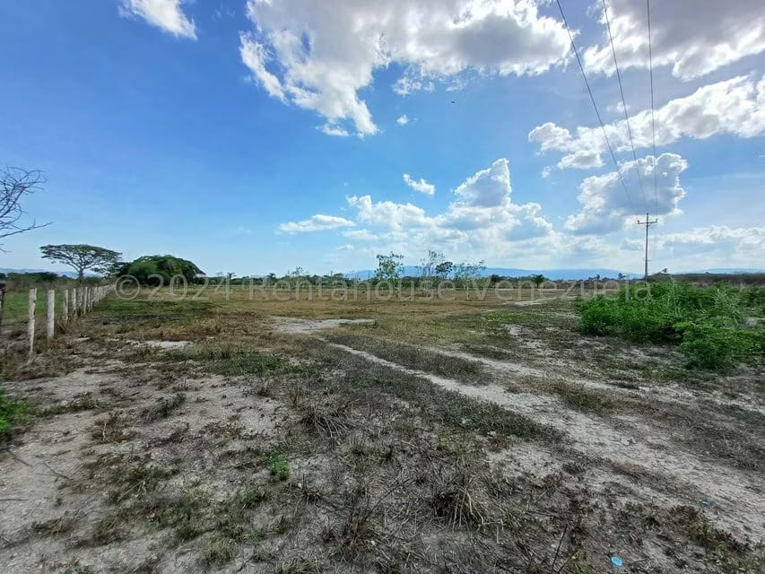 Terreno (Finca) en Venta en Municipio Peña, Yaracuy - 8