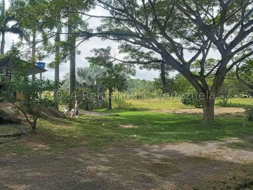 Terreno (Industrial) en Venta en Ave Intercomunal, Lara - 4