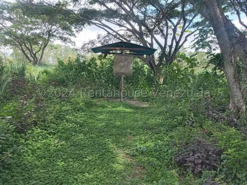 Terreno (Industrial) en Venta en Ave Intercomunal, Lara - 34