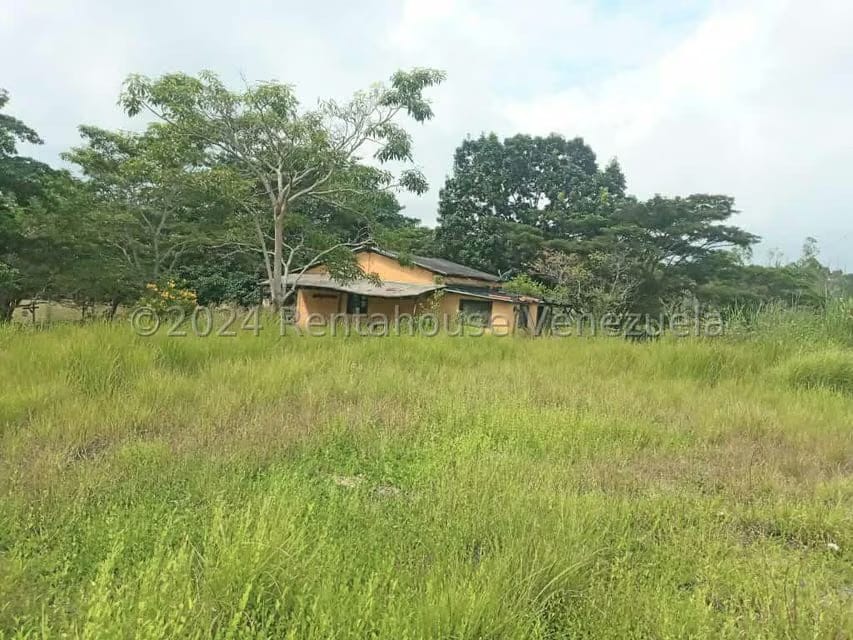 Terreno (Industrial) en Venta en Ave Intercomunal, Lara - 36