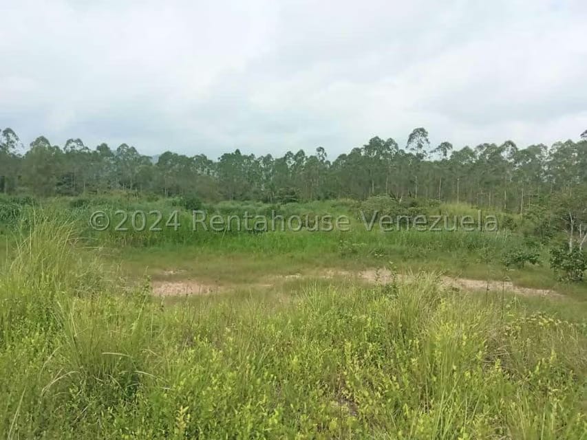 Terreno (Industrial) en Venta en Ave Intercomunal, Lara - 38