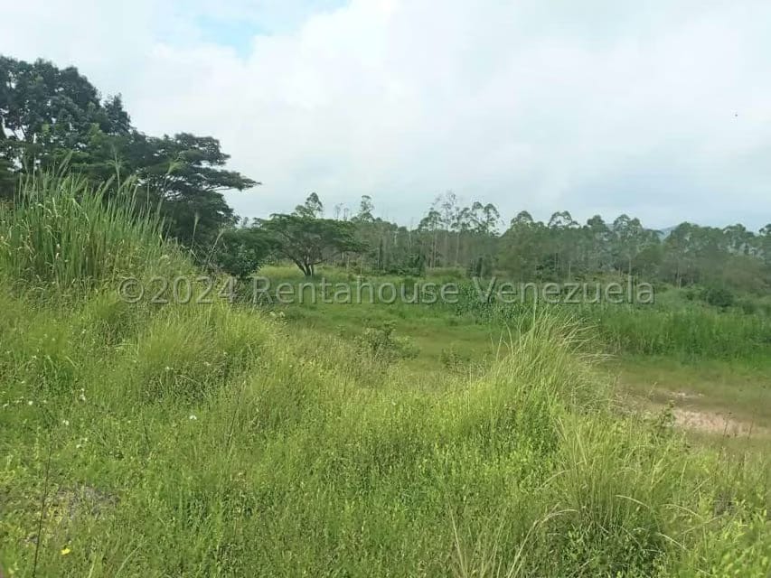 Terreno (Industrial) en Venta en Ave Intercomunal, Lara - 39