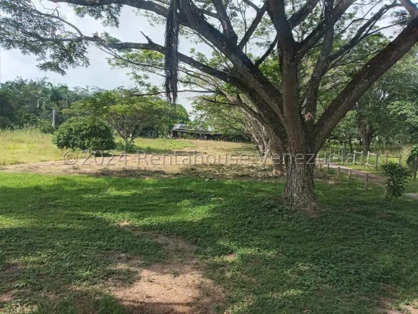 Terreno (Industrial) en Venta en Ave Intercomunal, Lara - 43