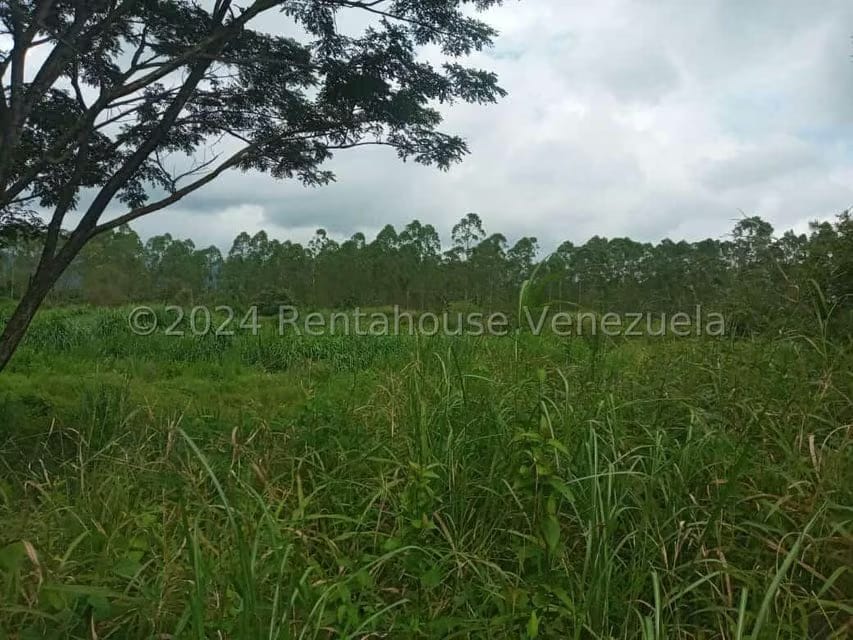 Terreno (Industrial) en Venta en Ave Intercomunal, Lara - 45