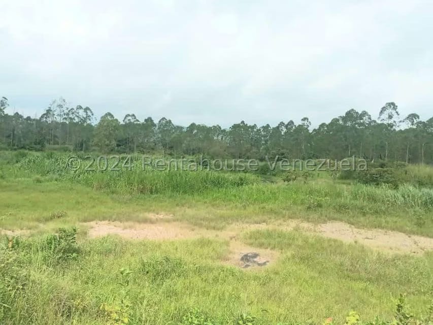 Terreno (Industrial) en Venta en Ave Intercomunal, Lara - 47