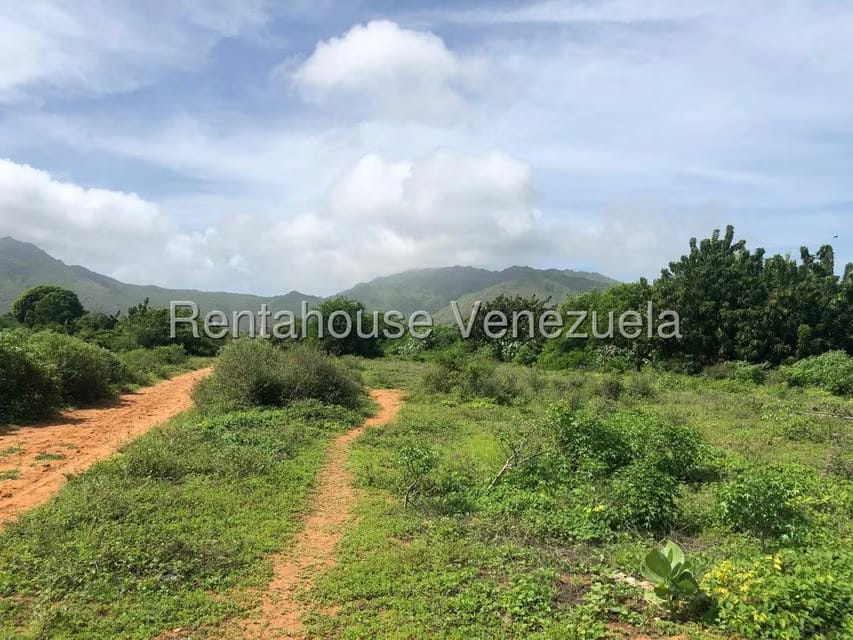 Terreno (Residencial) en Venta en Aricagua, Nueva Esparta - 3
