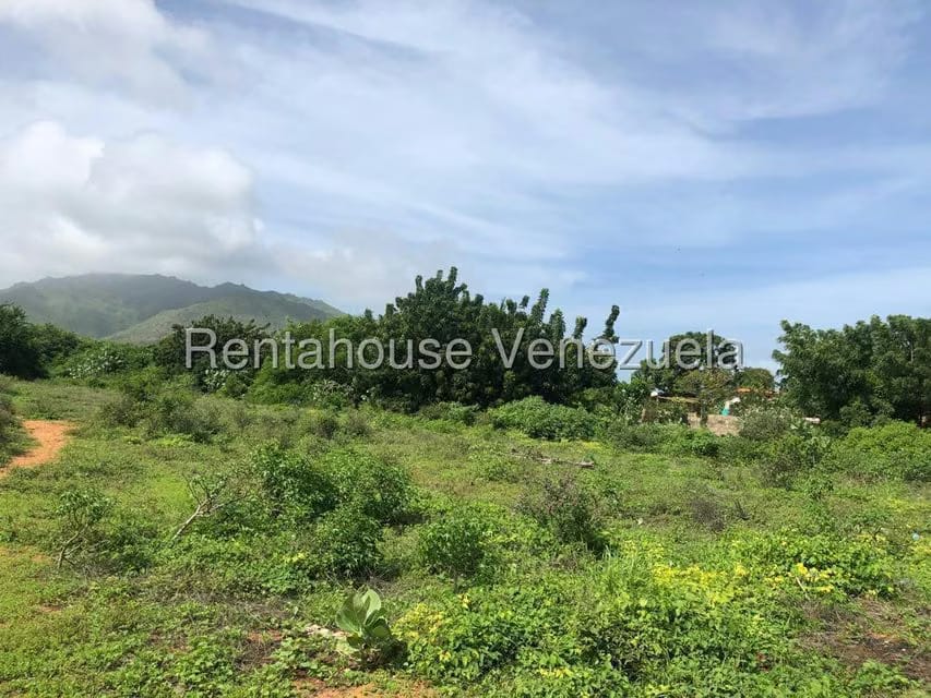 Terreno (Residencial) en Venta en Aricagua, Nueva Esparta - 5