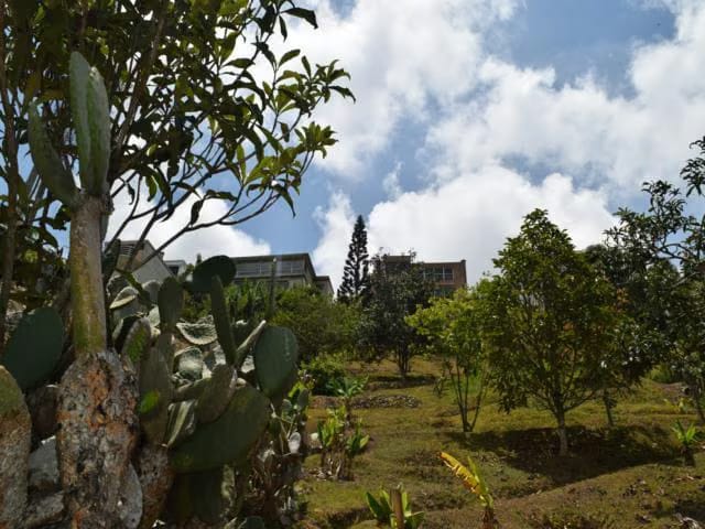 Casa (1 Nivel) en Venta en Club de Campo, Miranda - 64
