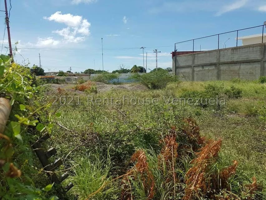 Terreno (Residencial) en Venta en Centro, Falcon - 4