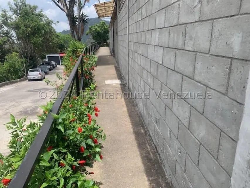 Comercial (Galpon - Deposito) en Alquiler en Macarena Sur, Miranda - 18