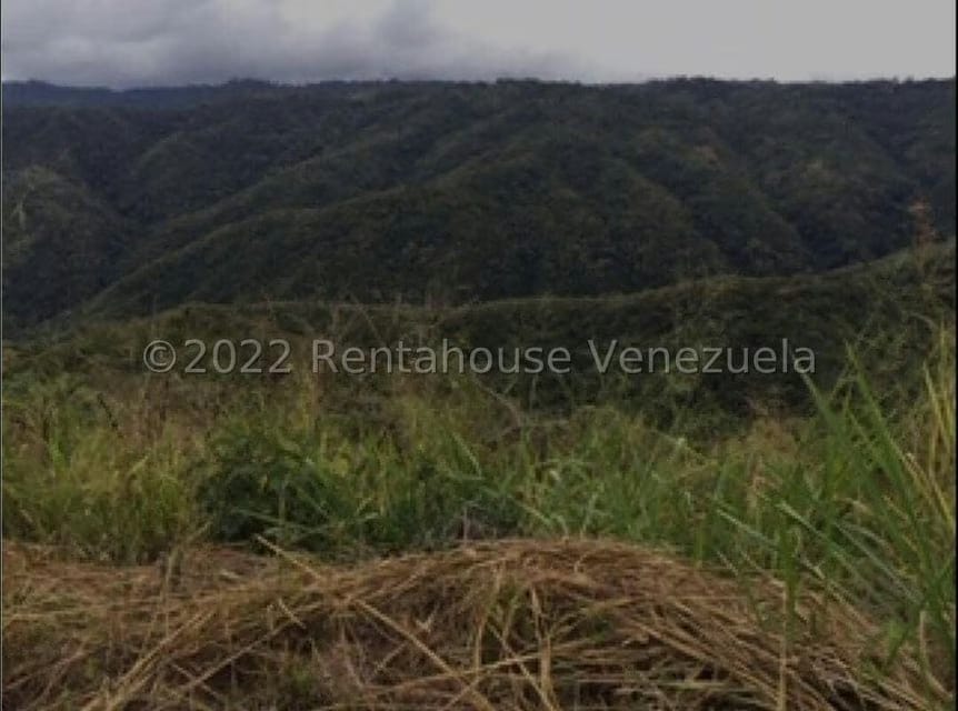 Terreno (Residencial) en Venta en Bosques de la Lagunita, Distrito Metropolitano - 5