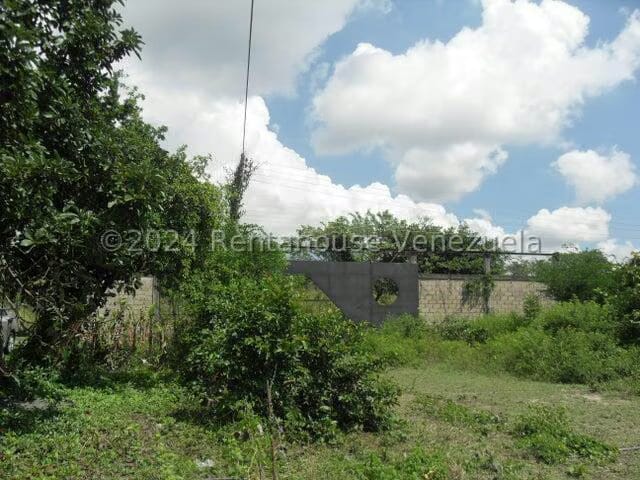 Terreno (Comercial) en Alquiler en Yagua, Carabobo - 13