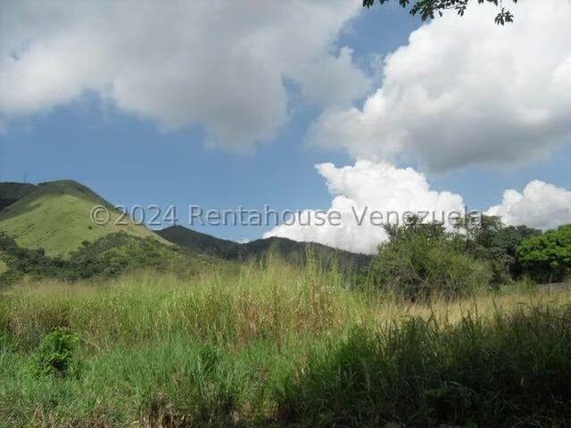 Terreno (Comercial) en Alquiler en Yagua, Carabobo - 3