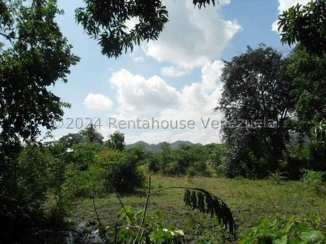 Terreno (Comercial) en Alquiler en Yagua, Carabobo - 4