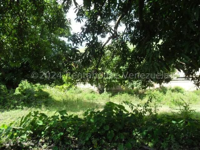 Terreno (Comercial) en Alquiler en Yagua, Carabobo - 5