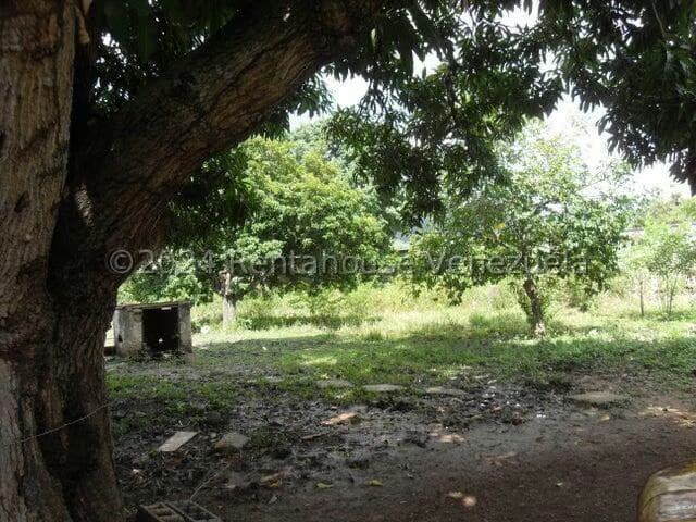 Terreno (Comercial) en Alquiler en Yagua, Carabobo - 6