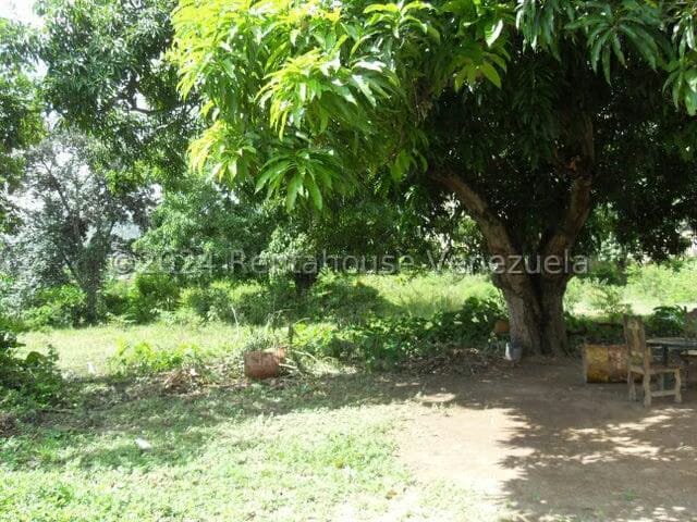 Terreno (Comercial) en Alquiler en Yagua, Carabobo - 10
