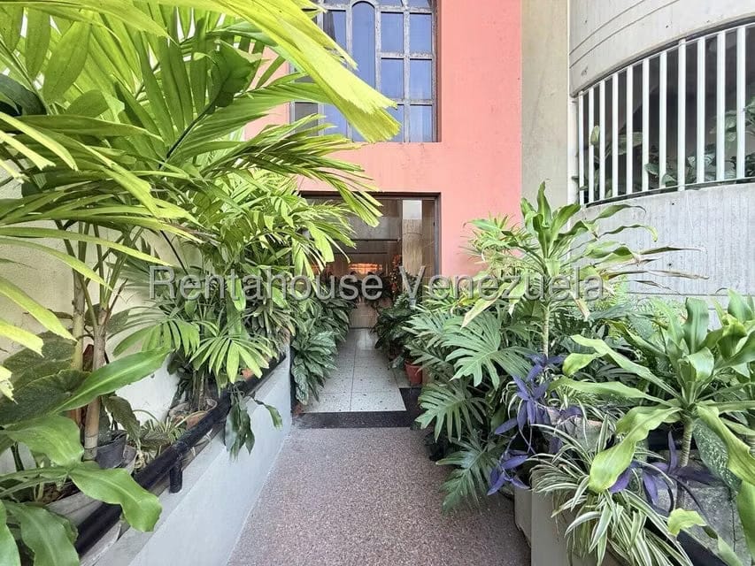 Apartamento (1 Nivel) en Venta en La Mata, Lara - 3