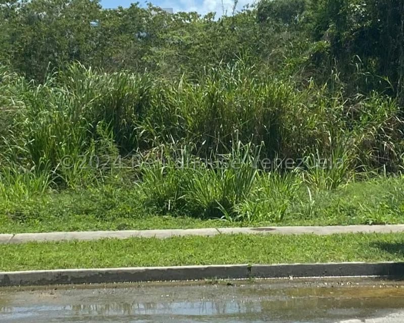 Terreno (Residencial) en Venta en Puerto Encantado, Miranda - 6