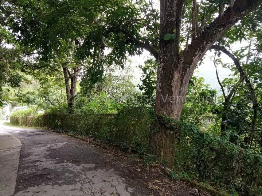 Terreno (Residencial) en Venta en Gavilan, Distrito Metropolitano - 2