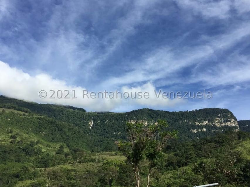 Terreno (Comercial) en Venta en Sector Parroquia Matriz, Merida - 13