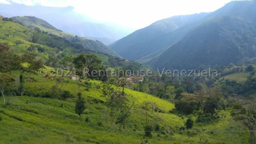 Terreno (Comercial) en Venta en Sector Parroquia Matriz, Merida - 10